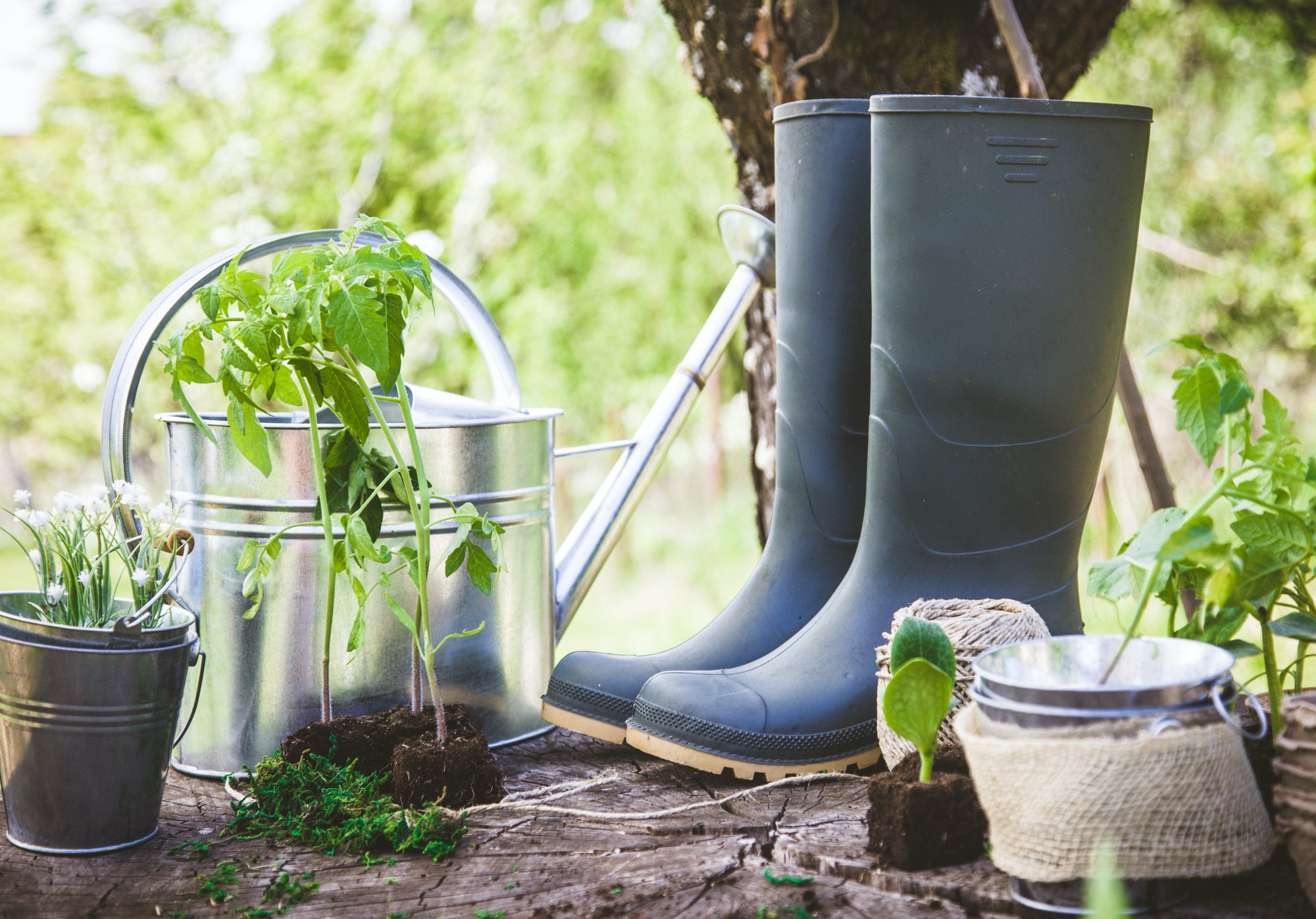 Gardening