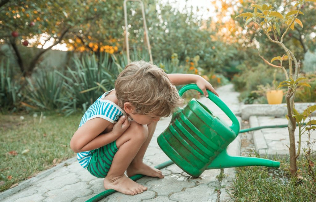 Little boy in garden