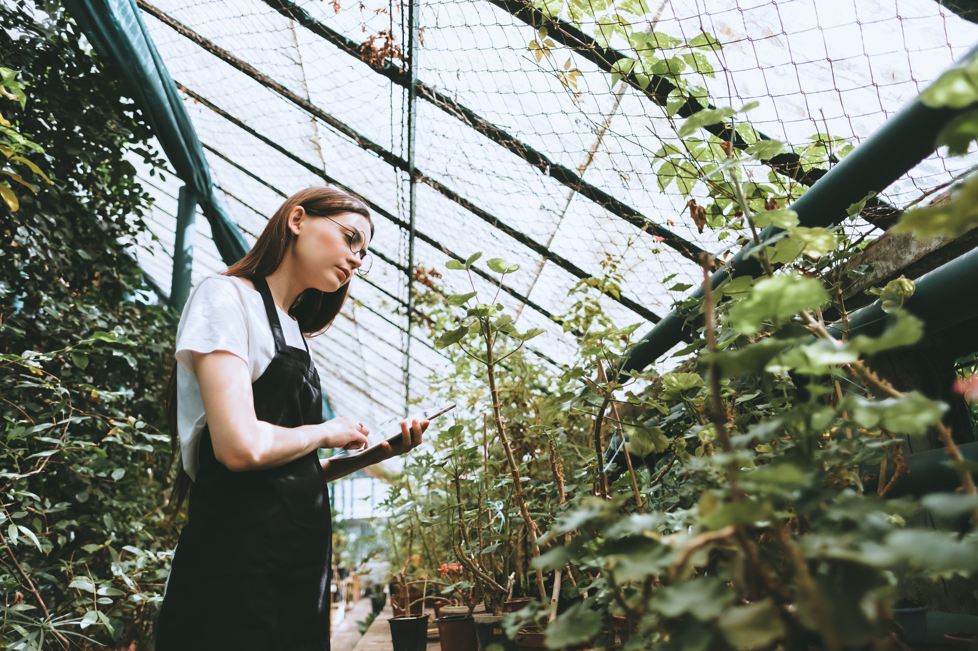 Young woman gardener in glasses and apron with digital tablet working in a garden center